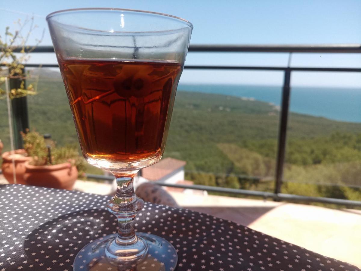 Apartament Precioso ático en la Sierra de Irta Alcossebre Zewnętrze zdjęcie