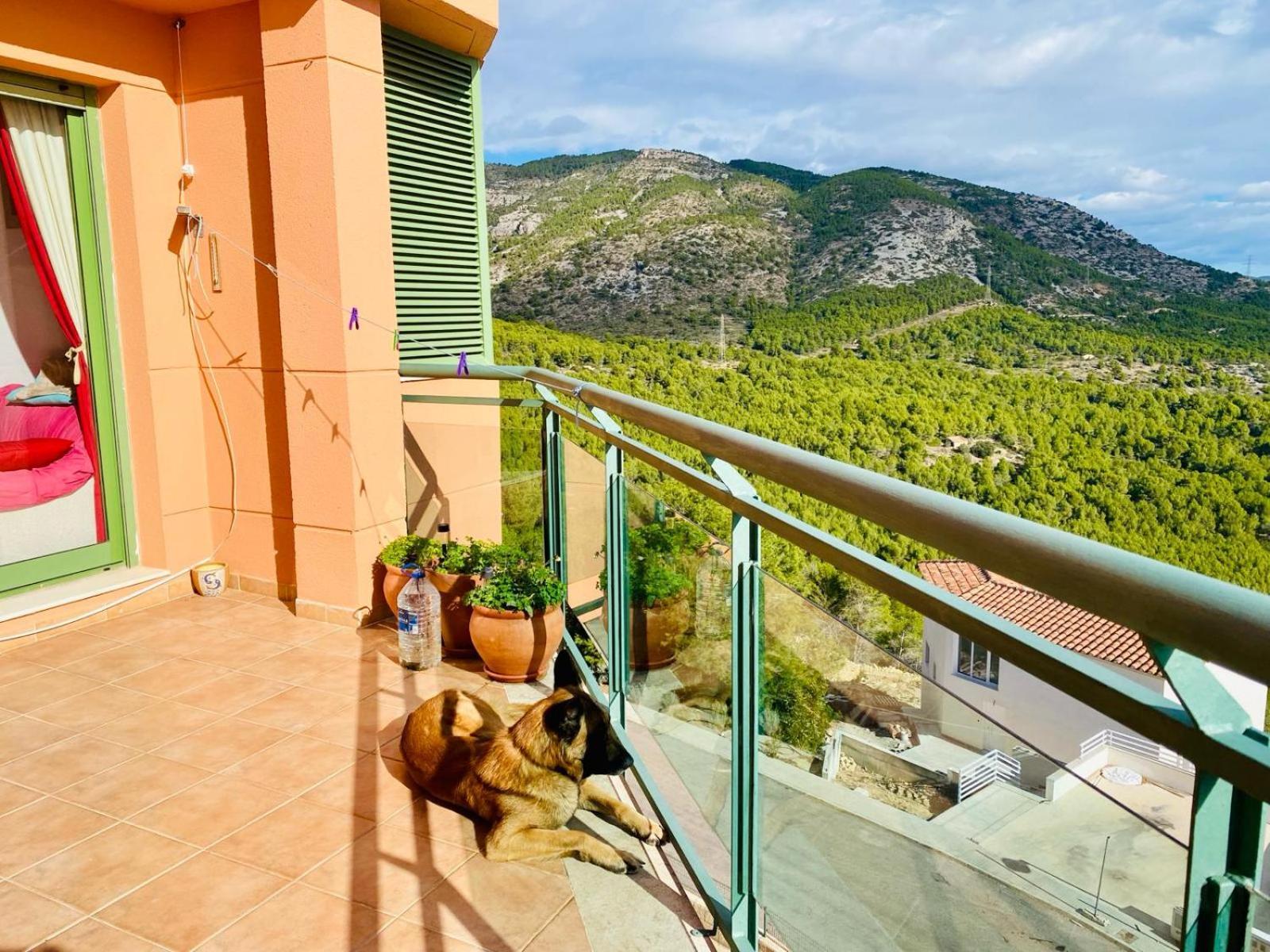 Apartament Precioso ático en la Sierra de Irta Alcossebre Zewnętrze zdjęcie